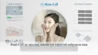 Renecell