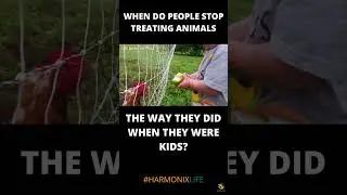 Be Kind to ALL living beings! #kindness #shorts #valueseducation