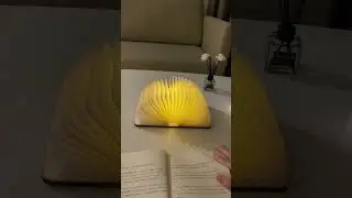 📖 For books, dreams, and silent nights.#flamberybooklight #foldablelamp #cozyread #videoshort