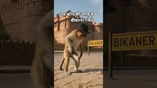 monkey block #cat #shote #ekmotahathighumechala #funny #edmdj