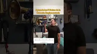 Aprende las 5 Notas de la Corneta 🤩 #bandadeguerra #bandasdeguerra #banda #viral #tambores