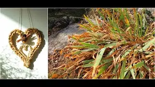 Vannerie sauvage en feuilles d'iris.