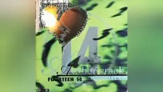 FOURTEEN 14 - ANOTHER CRACK IN MY HEART
