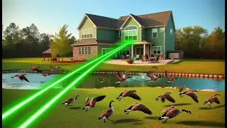 Green Lasers for Geese & Goose Control Laser Pointers Keep Your Property Clean - BigLasers.com