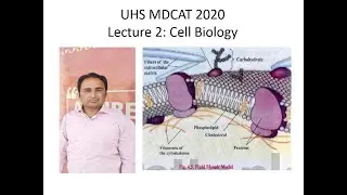 UHS MDCAT 2020, Lecture no:2 Cell Biology
