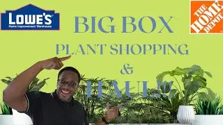 Shop with me at Lowe's and Home Depot - I Can't Believe What I Found!