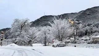 JAPAN RURAL AREA CONTINUE SNOW FALLING ⛄️#bosenkan #下呂温泉 