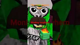 monkey mayhem event