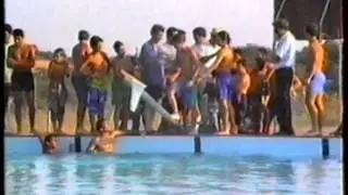 FIESTAS 1993 EL RONQUILLO