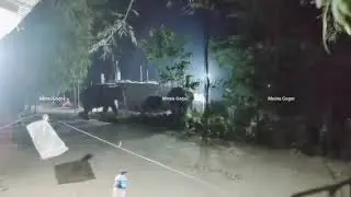 Beautiful # elephant #group #shates #video#in Nagaon 