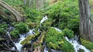 Wahkeena Creek
