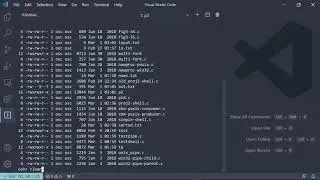 Custom UNIX Shell - Showcase