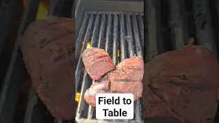 From Field To Table - Venison Backstrap #superexcited #hunting #deerhunt #outdoors