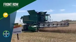 The Front Row: DEKALB&reg; Canola Hybrid DKTF 97 CRSC