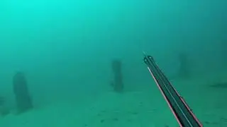 Spearfishing, Just 2 dives no fish depth up to 20m