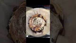 Sourdough Starter Transformation: From Bubbles to Baked Bread#sourdough #baking