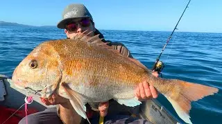 Kapiti Coast Boat Fishing Mission 16.4lb Snapper Landed!