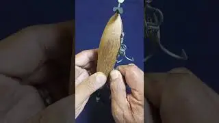 #shorts LET'S MAKE TRIPLE + 1 TREBLE HOOKS TOPWATER LURE #9  | Topwater Fishing Lure #handmadelure
