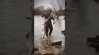 Spoonbill or paddlefish snagging