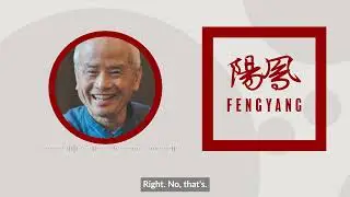 FengYang Taoist Chinese Medicine -- The Future of TCM