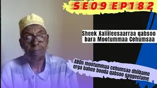 Sheek Xaliileessaa Wajjin Seenaa Qabsoo Bara Mootummaa Cehumsaa Gaggeefame | 7/10 [SE09 EP182]