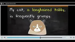Appositives Grammar Grab