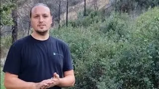 Amathos River Reforestation Project (Cyprus)