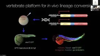 Beyond Stem Cells.