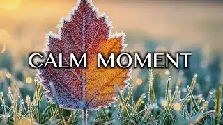 Rest Your Soul: A CALM MOMENT of Soaking Worship for Peace