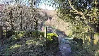 Holme Styes Res Hade Edge (walk) 29 Jan 25