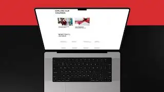 Developing Mangrove Studio's New Website