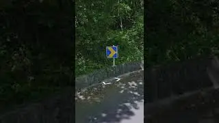 Day 30: Swedish Chevrons! GeoGuessr Tip of the Day! #geography #geoguessrtips #geoguessr #sweden