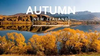 Stunning Autumn in New Zealand