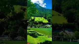 Today Weather of Swiss 🇨🇭 #londonlife #unitedkingdom #usatiktok #newyork #beautiful #places #virel