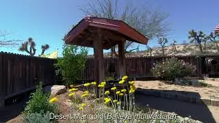 Scot McKone & Kim Monnie - Yucca Valley