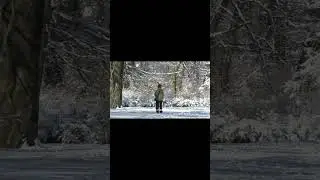 Man Walking Through a Lush Park 🌿🎥 Animated