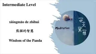 [Intermediate] Wisdom of the Panda 熊猫的智慧 Xi&oacute;ngmāo de zh&igrave;hu&igrave;