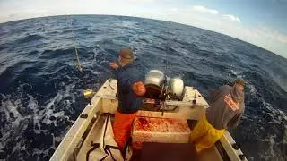 2016dorytuna