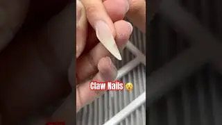 Might be the only nail techs in Chicago doing claw/raptor nails 🤷🏽&zwj;♀️#altnails #clawnails #polygel