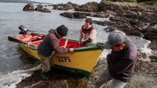 Chile's Valdivian Coastal Reserve