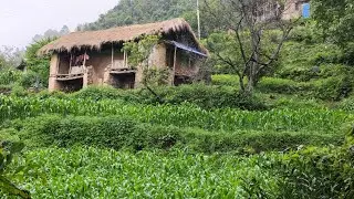 farmers working lifestyle is mountain village life in nepal 🇳🇵
