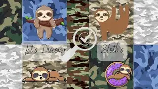 Nature's Camouflage The ALGAE Covered Sloths #fact