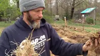Sheet Composting with Hay