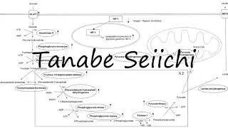 How to Pronounce Tanabe Seiichi?