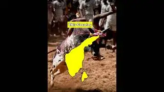 What if Pandya Dynasty Reunited Today | Country Comparison | Data Duck