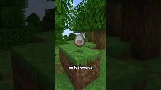 Los nuevos huevos de Minecraft! 🧐