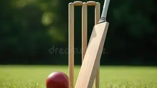 VILLAGE TOURNAMENT PAIKAULI 2026