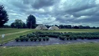 Best Place for Mums in Lexington KY -  Kim Soper Realtor at Peytons Plant Farm in Hamburg area 40509
