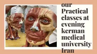 Evening practical class at Kerman UNIVERSITY of Medical Sciences Iran /Mini Vlog / KMU
