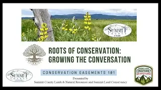 Conservation Easements 101 | Roots of Conservation